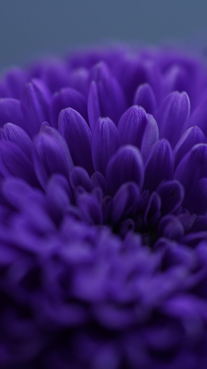 Fabled Horticulture