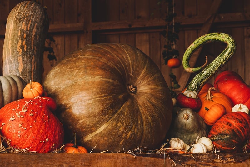 Fantastical Harvest